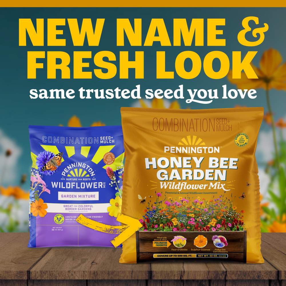 pennington honey bee garden wildflower mix