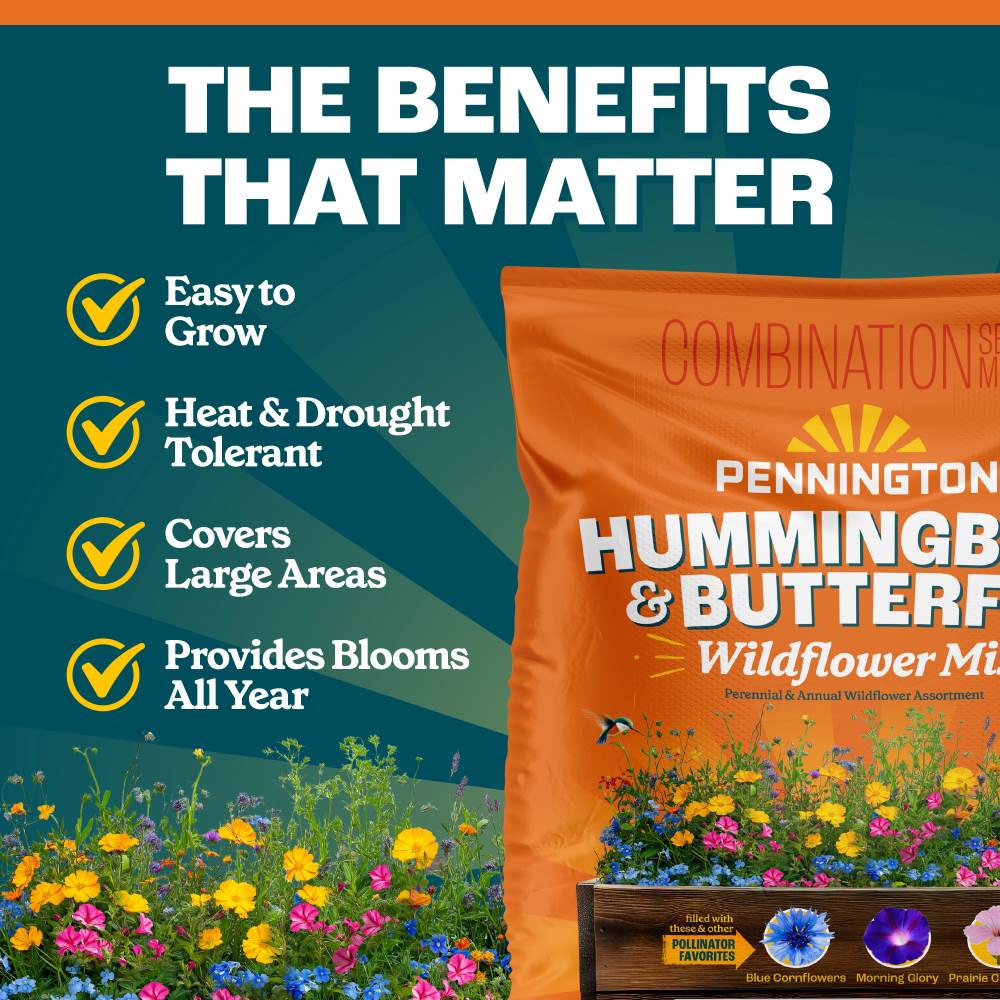 pennington hummingbird and butterfly wildflower mix