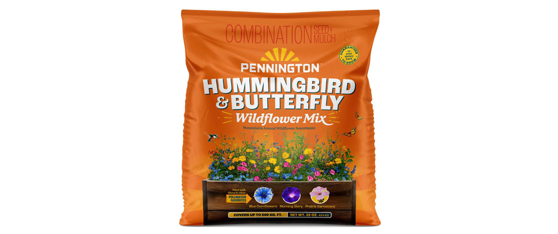 pennington hummingbird and butterfly wildflower mix
