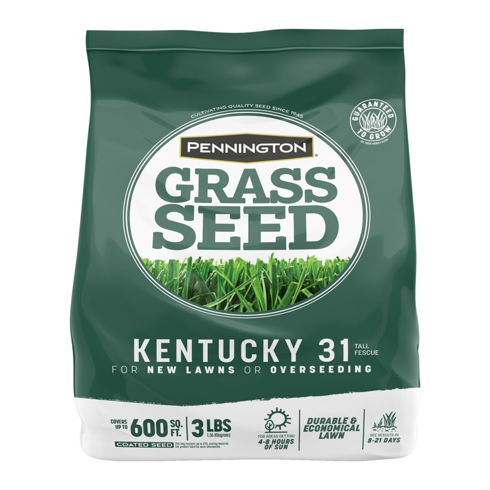 pennington kentucky 31