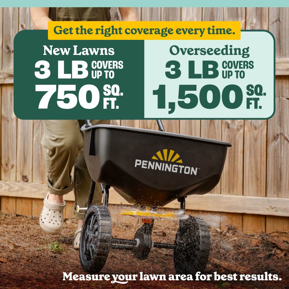 pennington no mow meadow grass seed mix