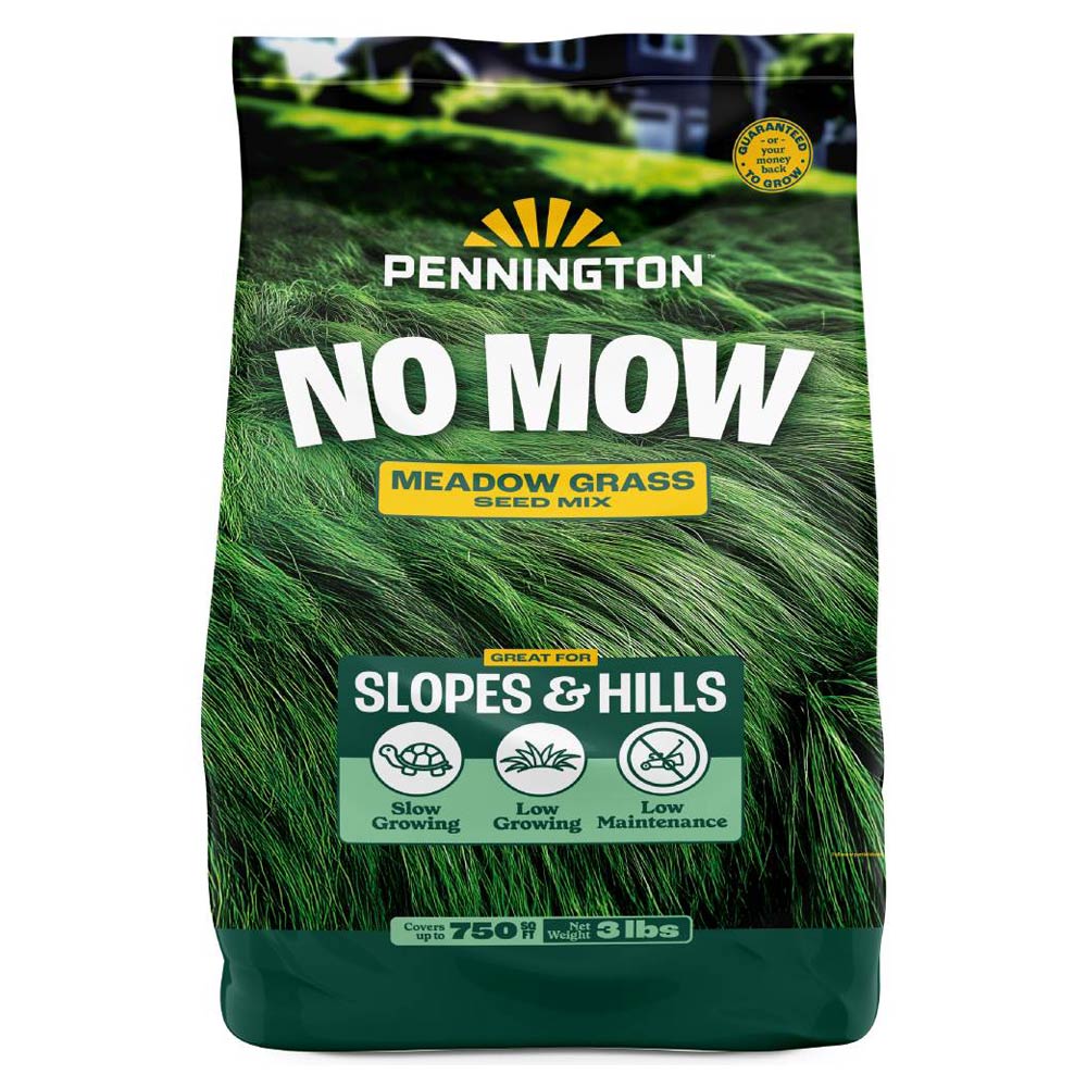 pennington no mow meadow grass seed mix