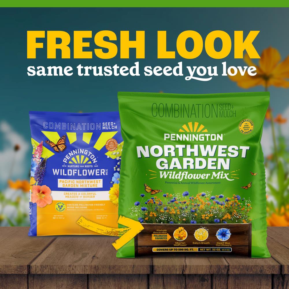 pennington northwest garden wildflower mix