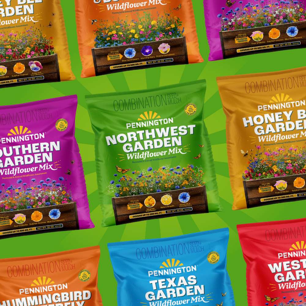 pennington northwest garden wildflower mix
