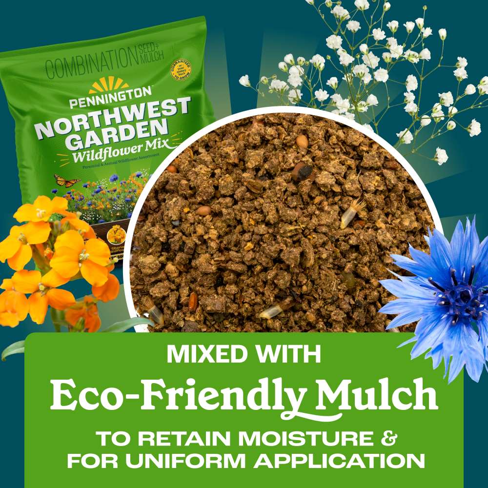 pennington northwest garden wildflower mix