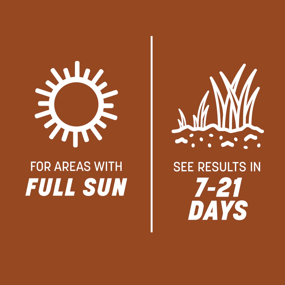 pennington sahara II bermudagrass