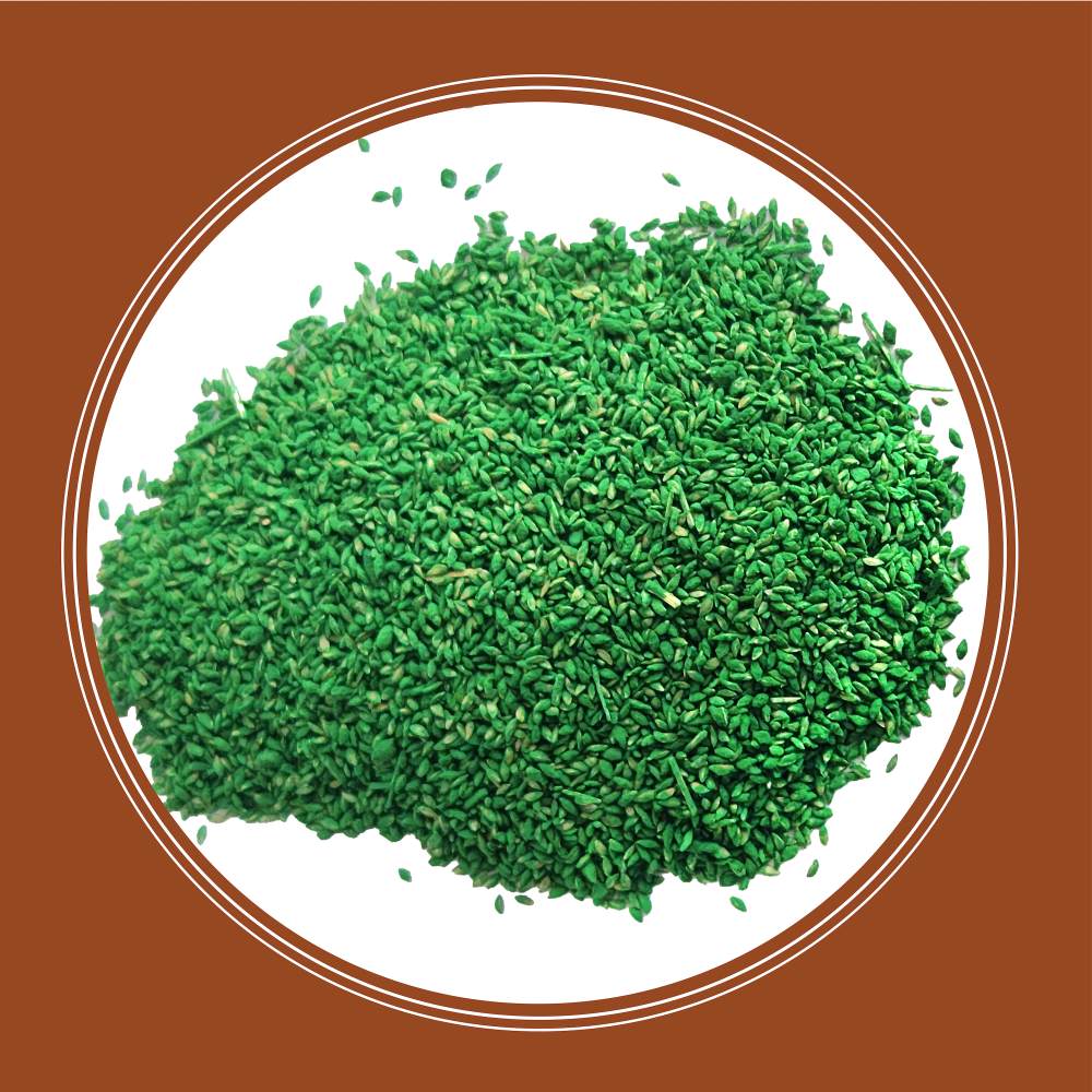 Sahara II - Forage Seed | Pennington
