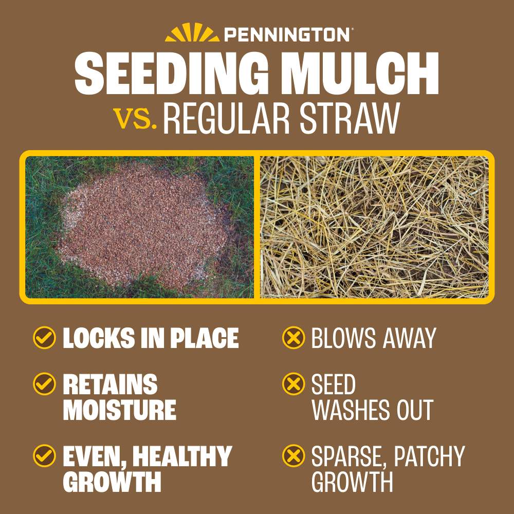 pennington seeding mulch