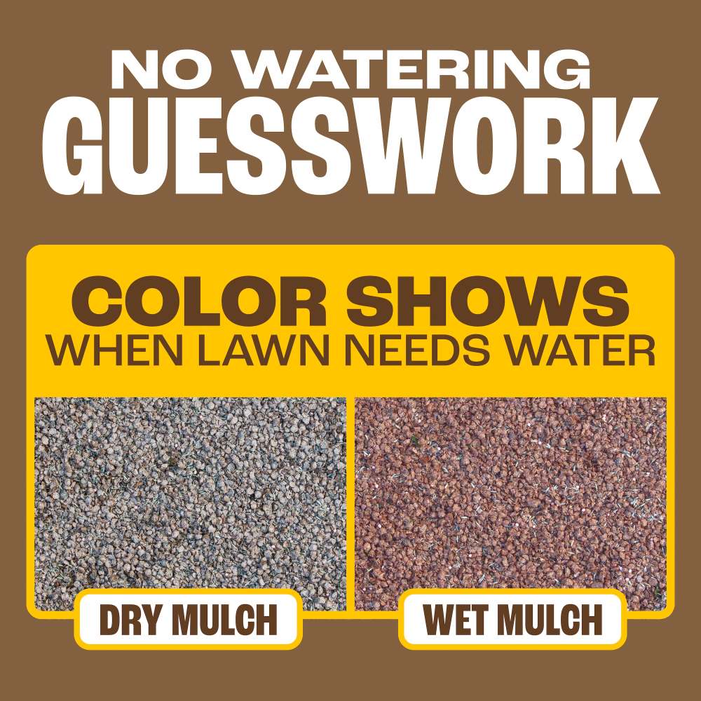 pennington seeding mulch