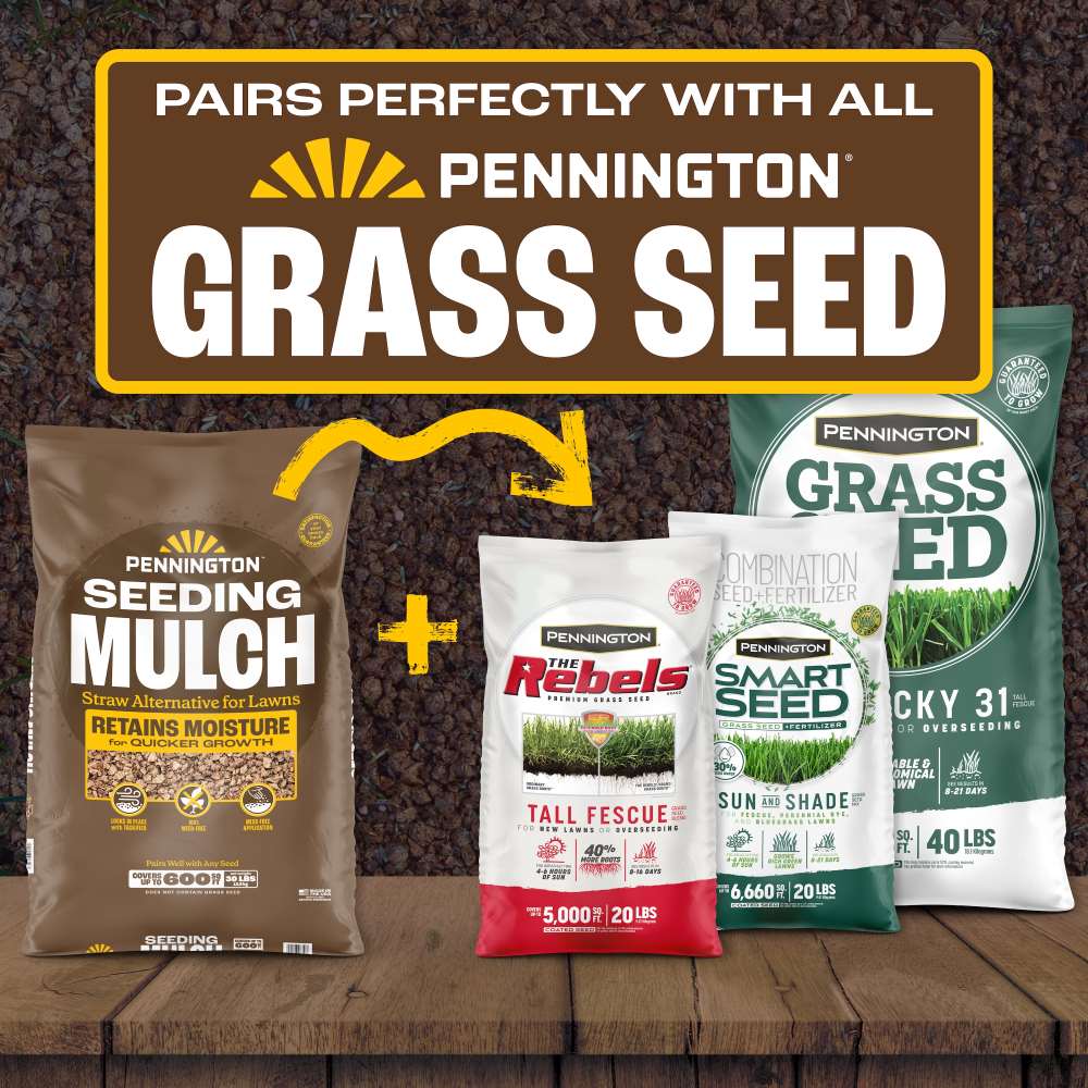 pennington seeding mulch