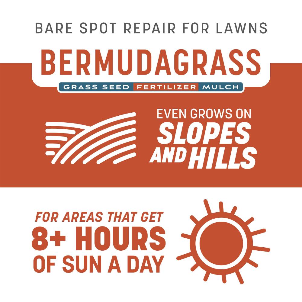 pennington smart patch bermuda