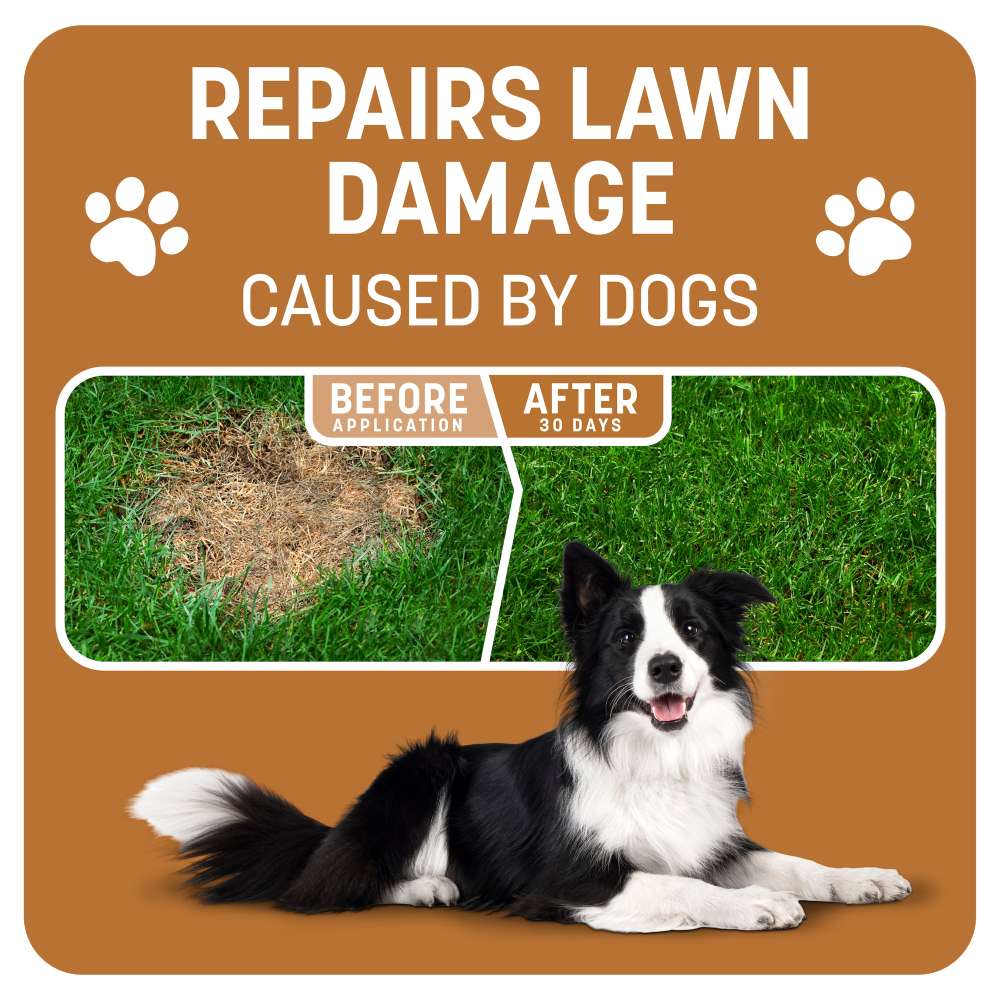 pennington smartpatch centipede