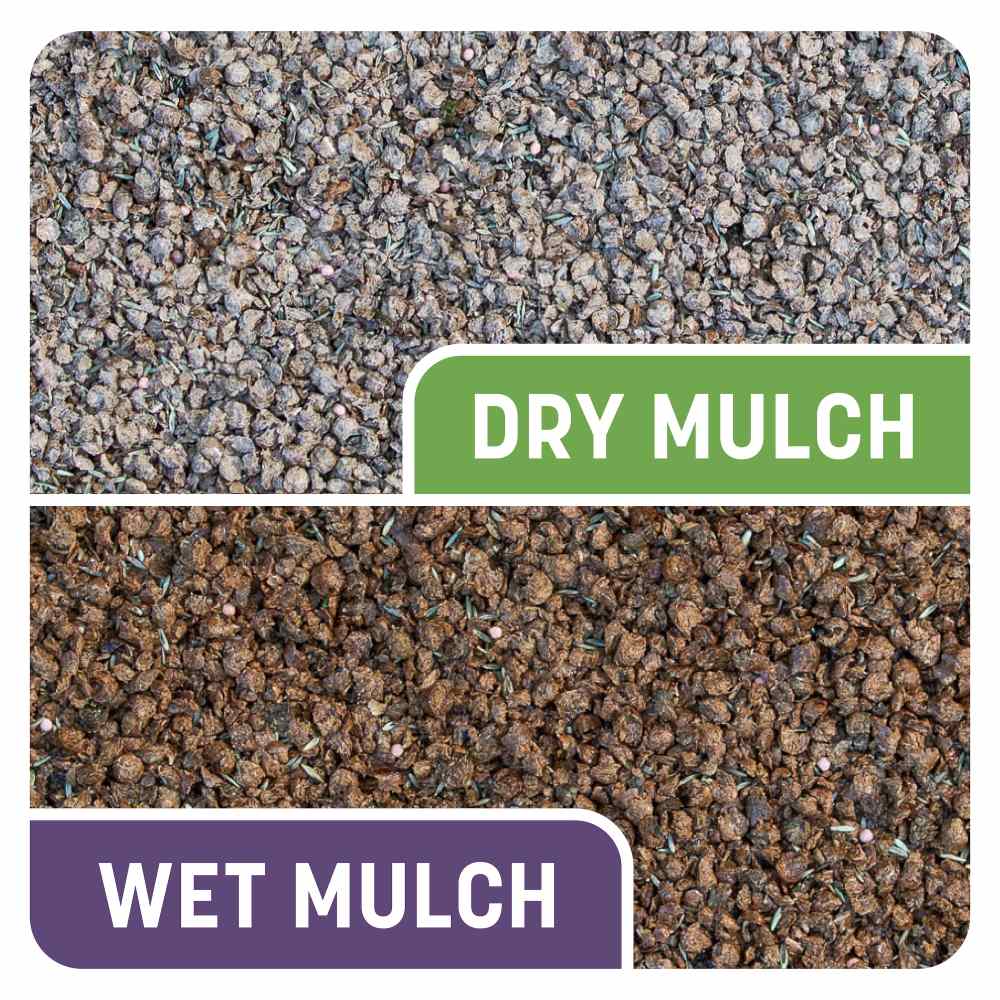 pennington smart patch dense shade