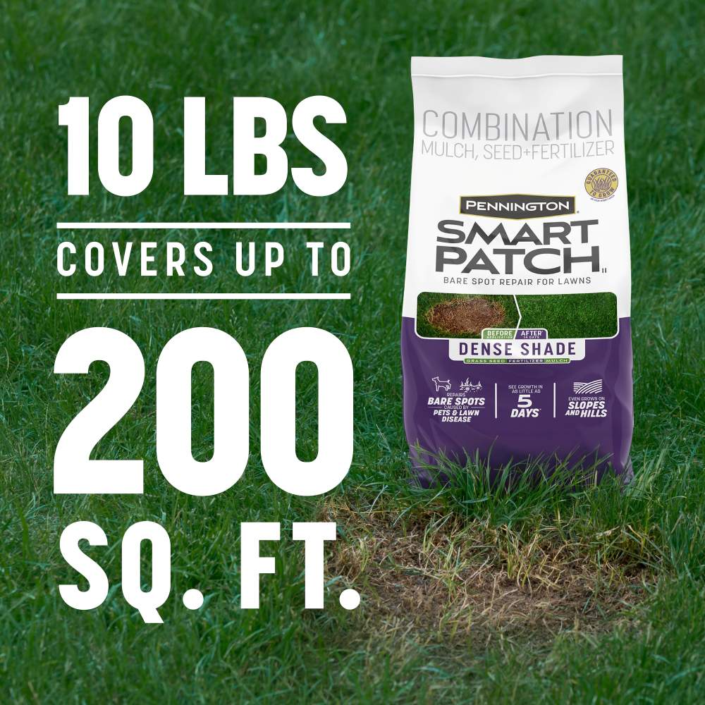 pennington smart patch dense shade