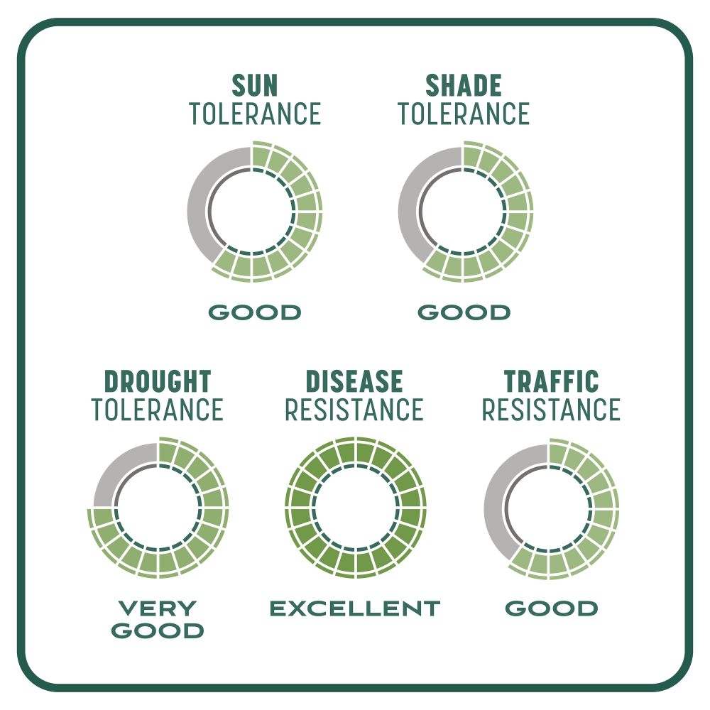 pennington smart patch sun and shade
