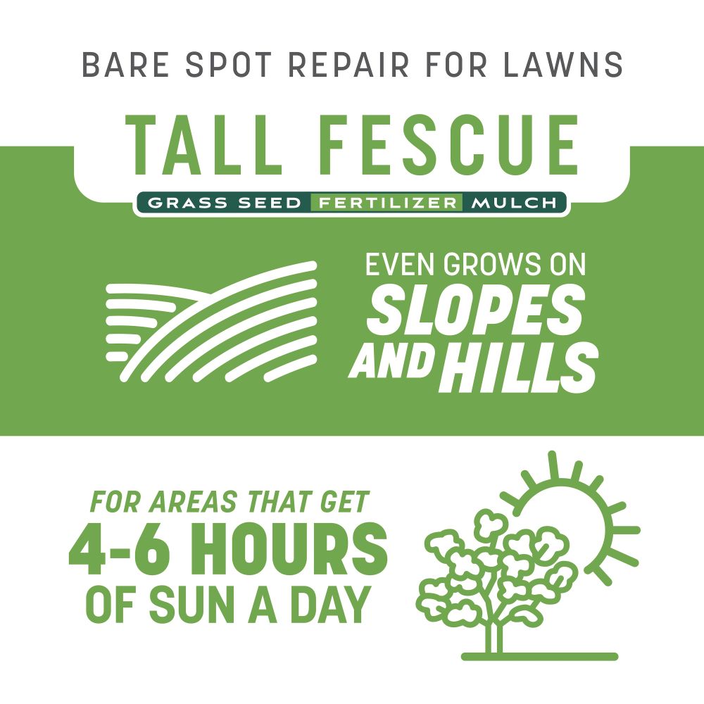 pennington smart patch tall fescue