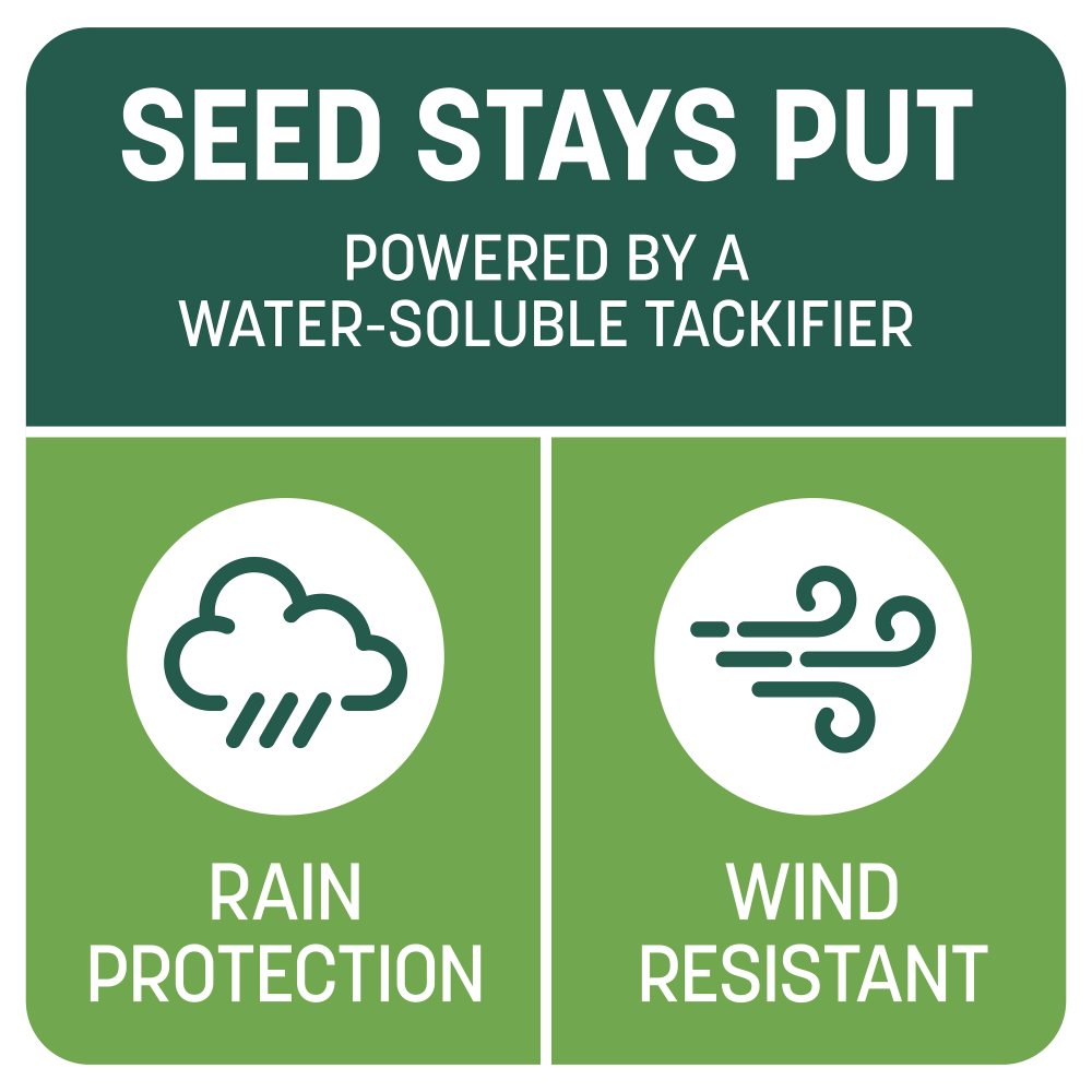 pennington smart patch tall fescue