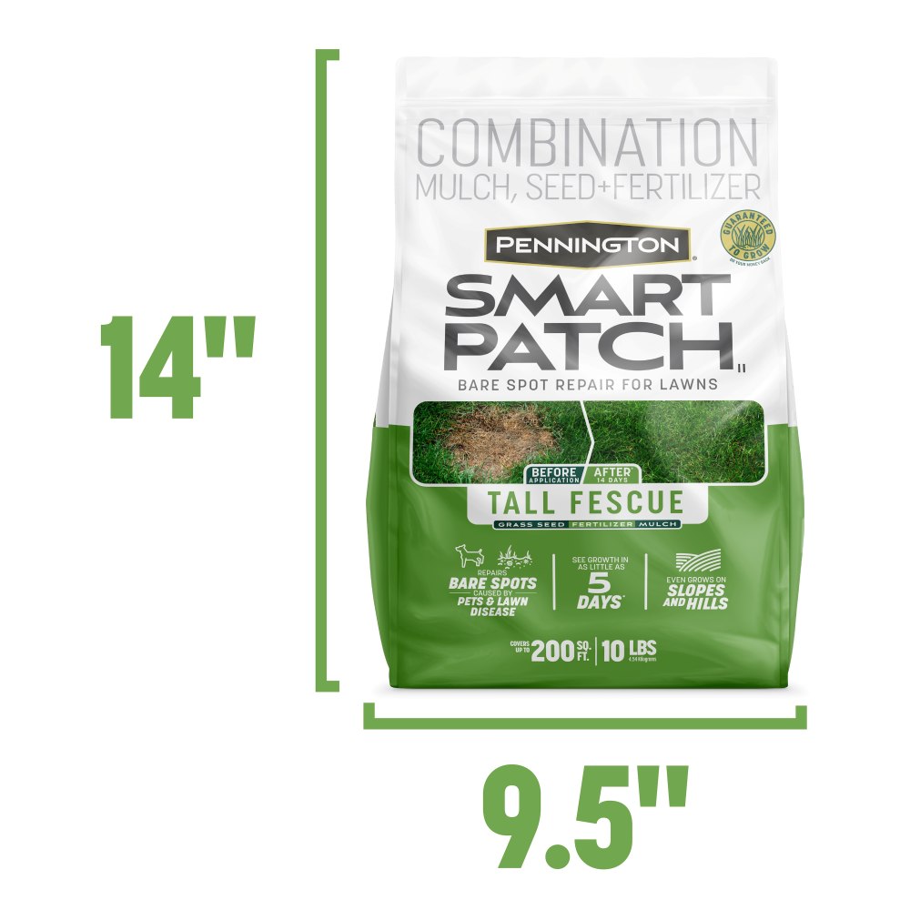 pennington smart patch tall fescue