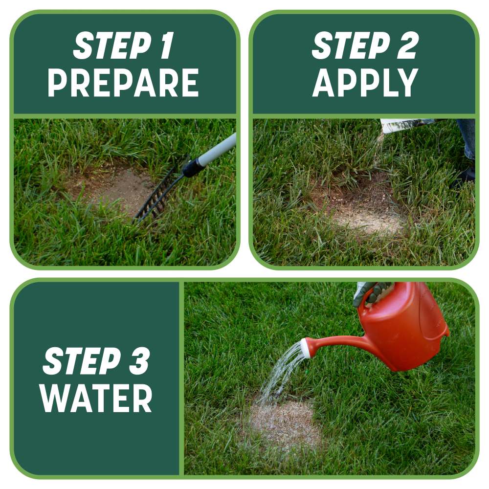 pennington smart patch tall fescue