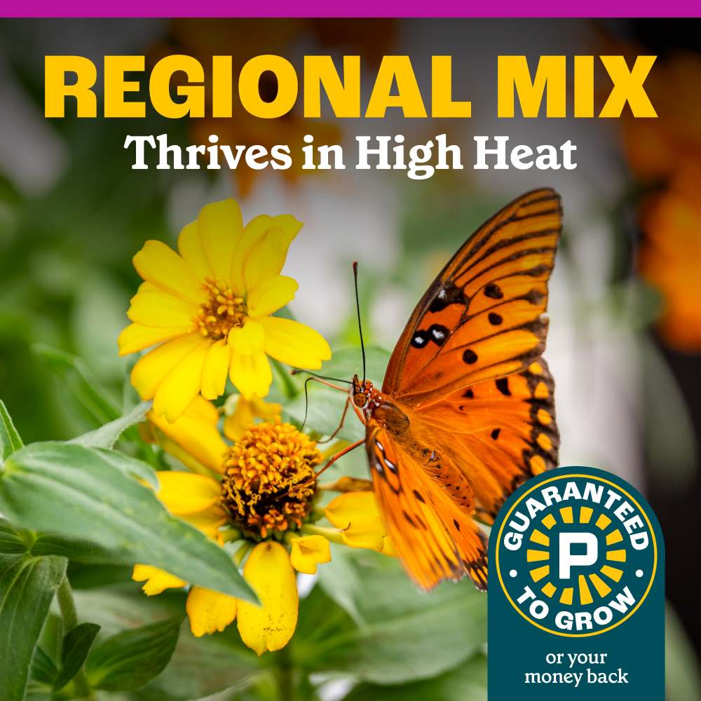 pennington southern garden wildflower mix