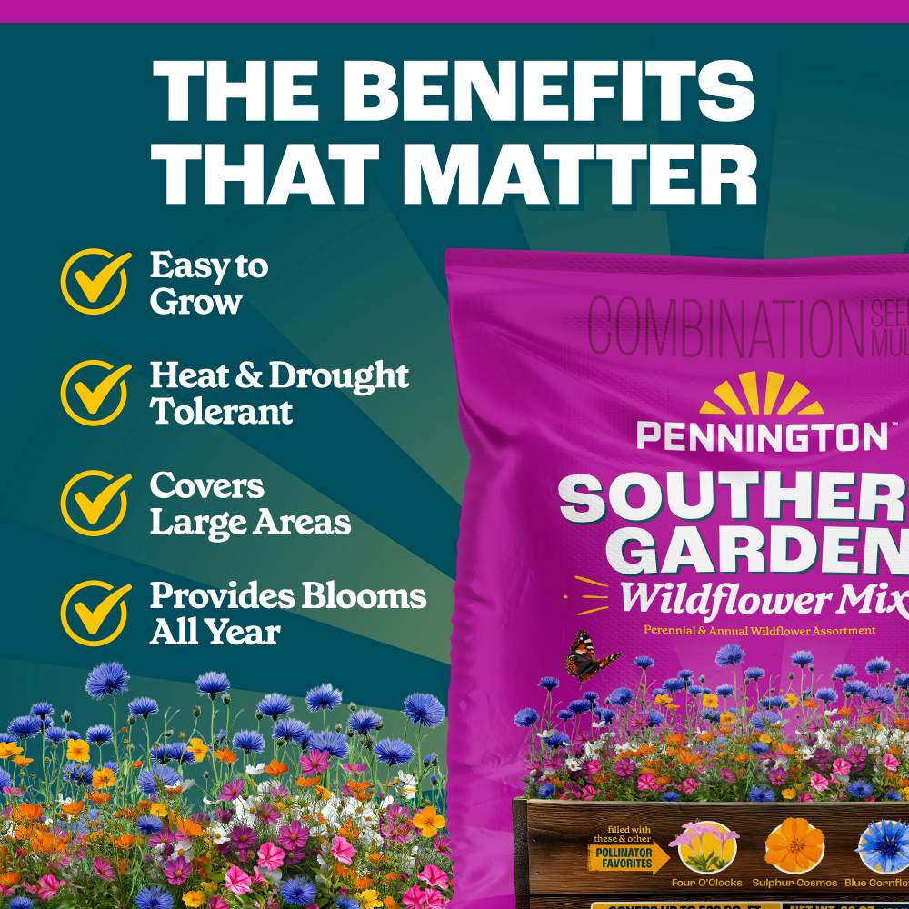 pennington southern garden wildflower mix
