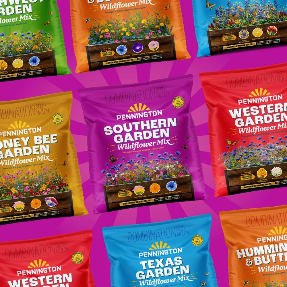 pennington southern garden wildflower mix