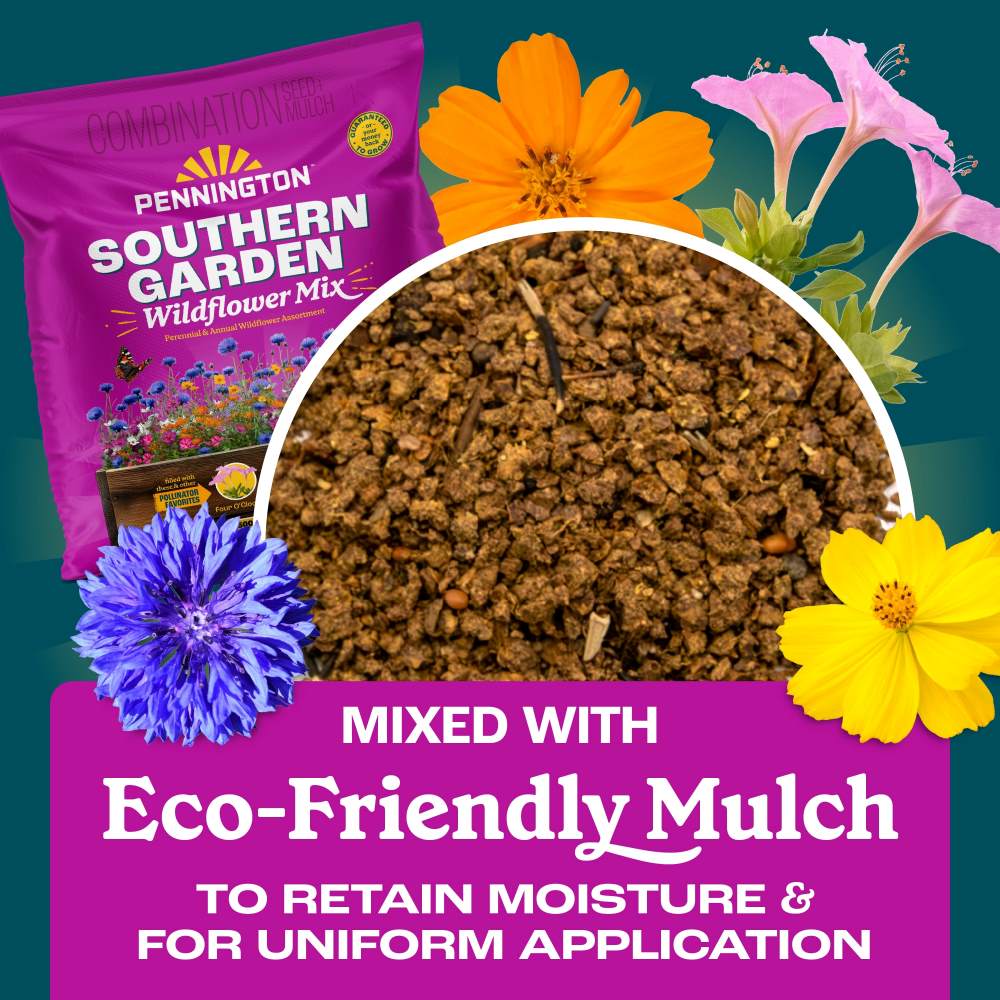 Pennington Southern Garden Wildflower Mix