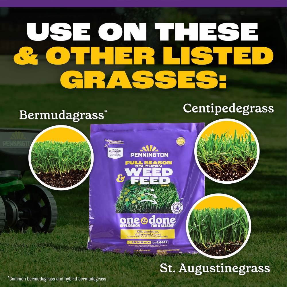 pennington full season southern weed and feed