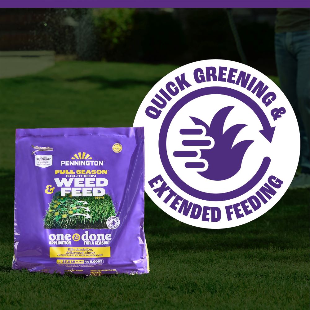 pennington full season southern weed and feed