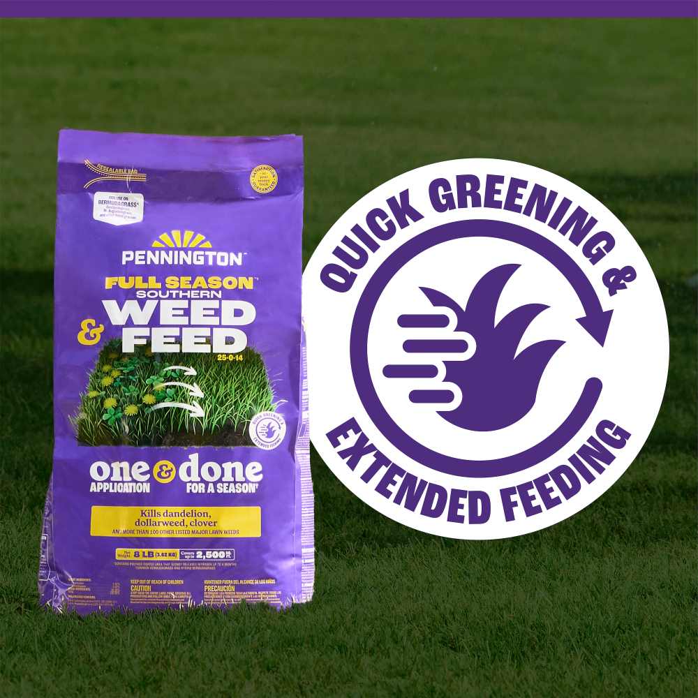 pennington full season southern weed and feed