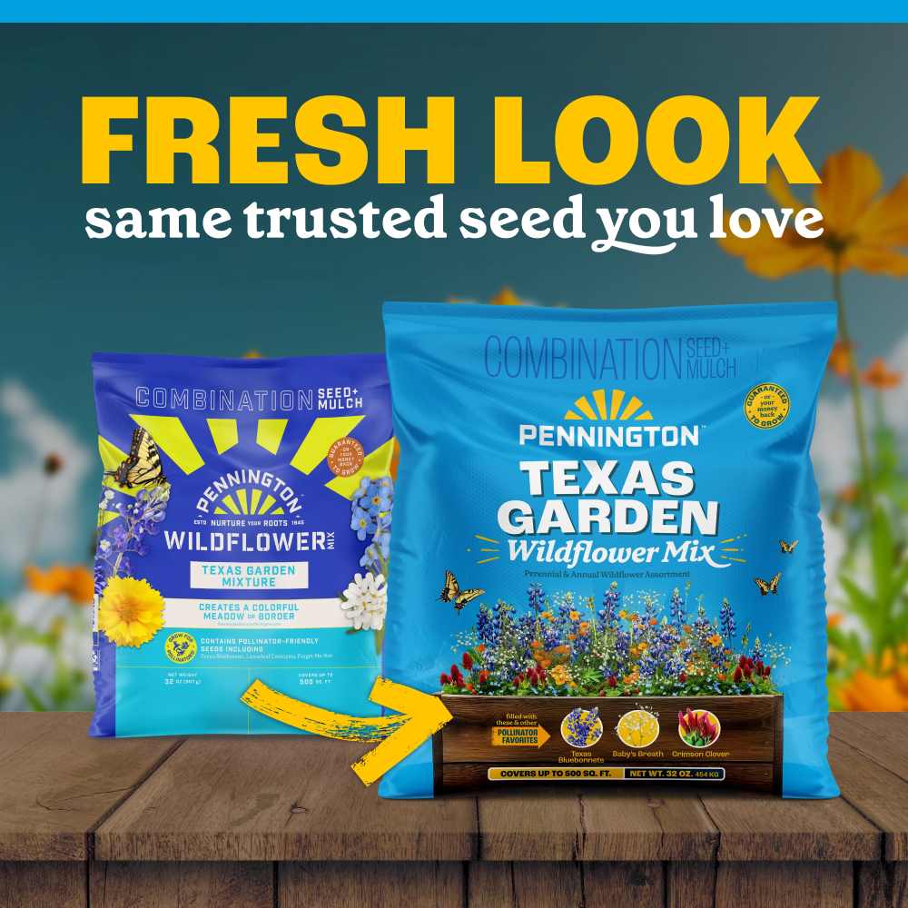 Pennington Texas Garden Wildflower Mix