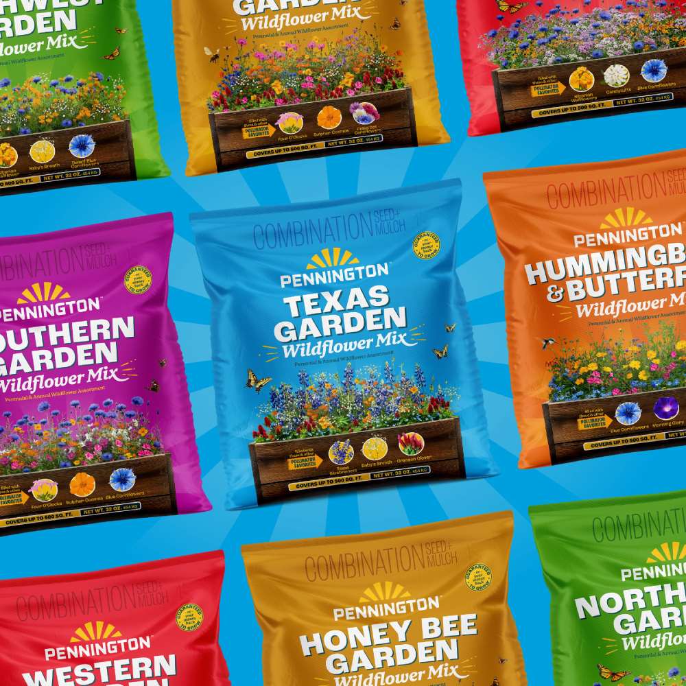 pennington texas garden wildflower mix