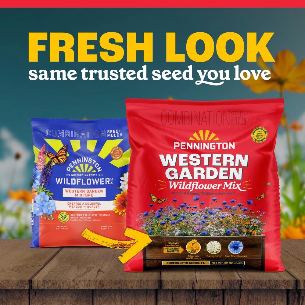 pennington western garden wildflower mix