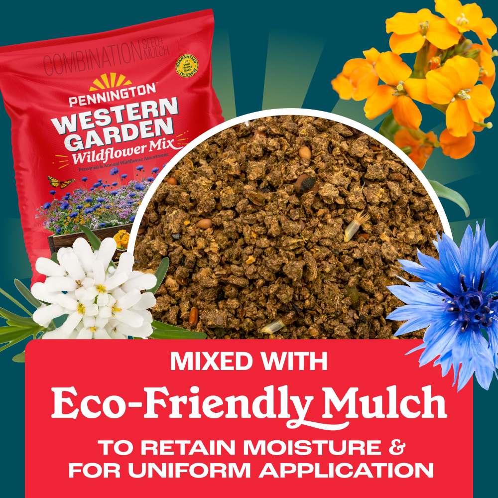 pennington western garden wildflower mix