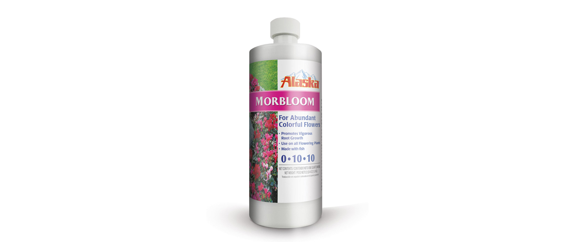 Alaska Morbloom