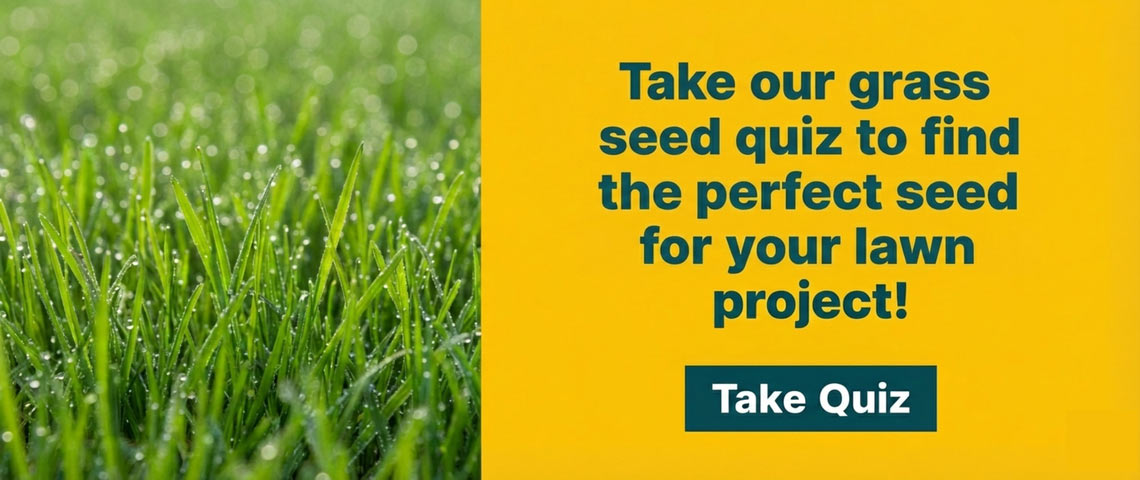 Grass seed quiz image