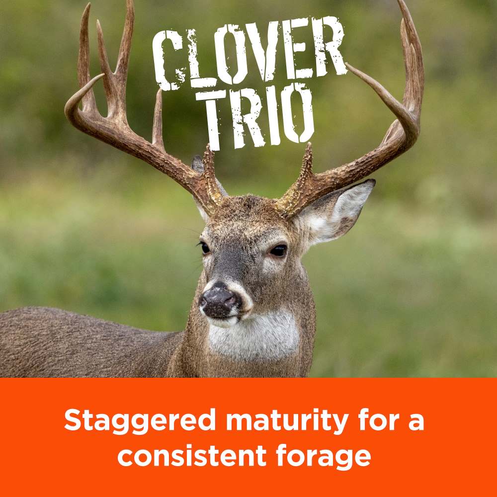 pennington rackmaster clover trio