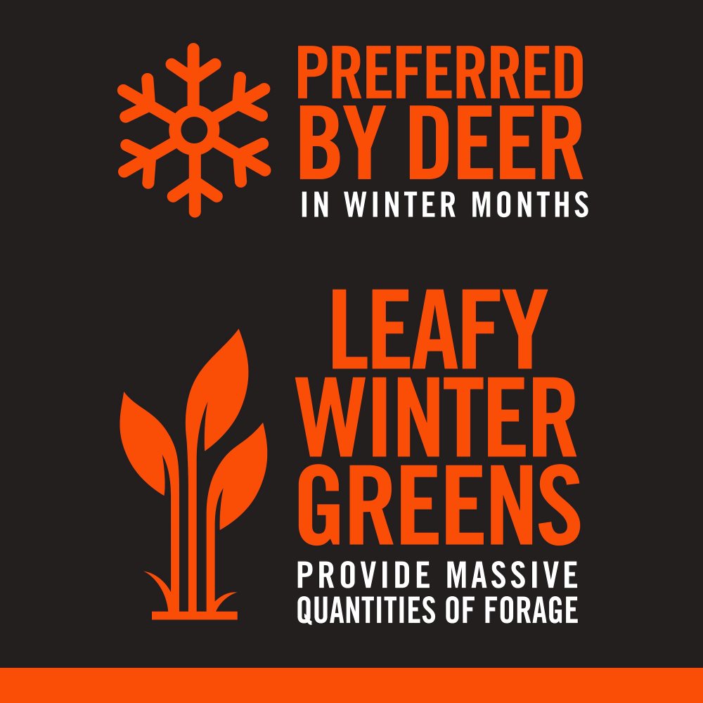 pennington rackmaster deer greens