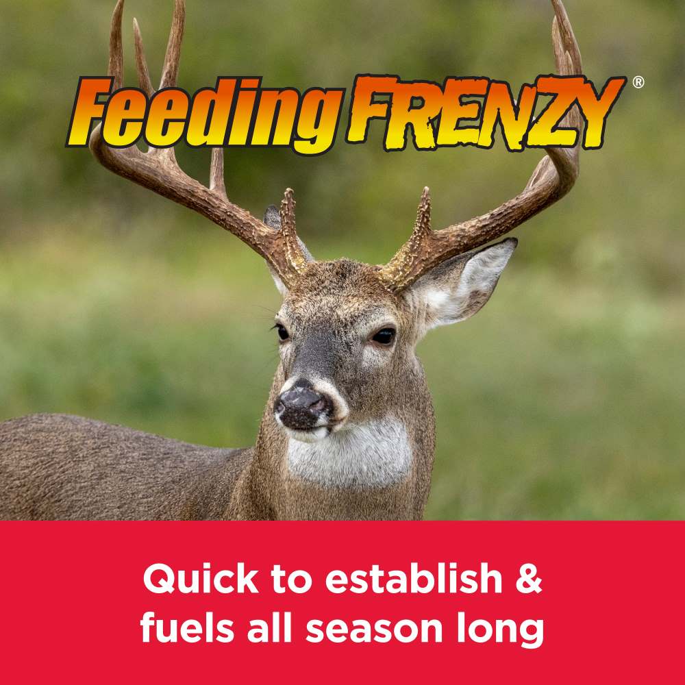 pennington rackmaster feeding frenzy