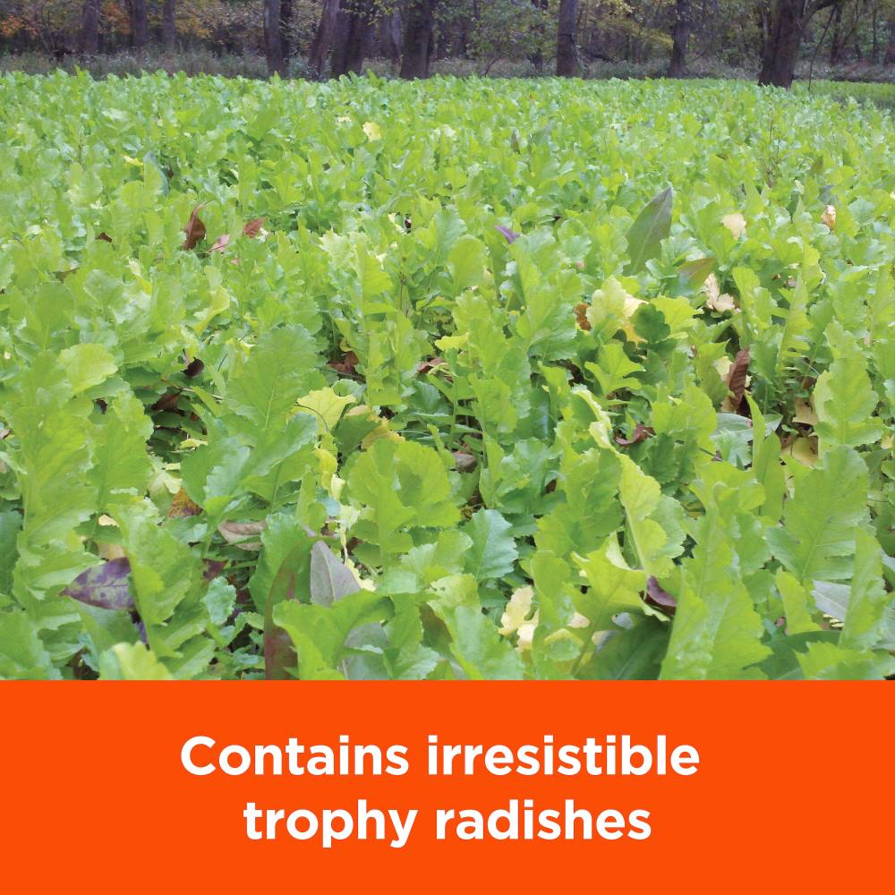 pennington rackmaster trophy radishes