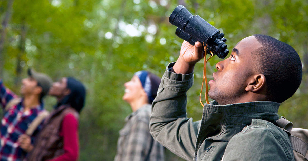 Group of birdwatchers using binoculars