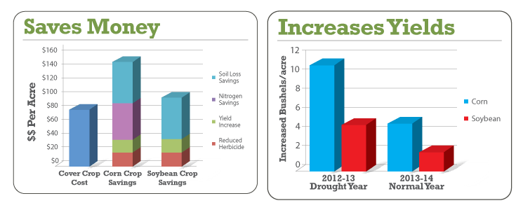 Cover Crop Effect Graphs