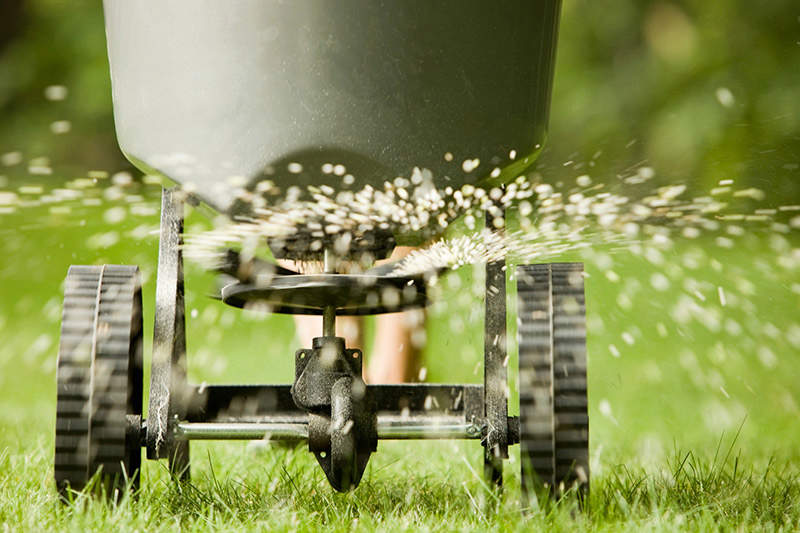 Ten Life-saving Tips about Lawn Fertilizer