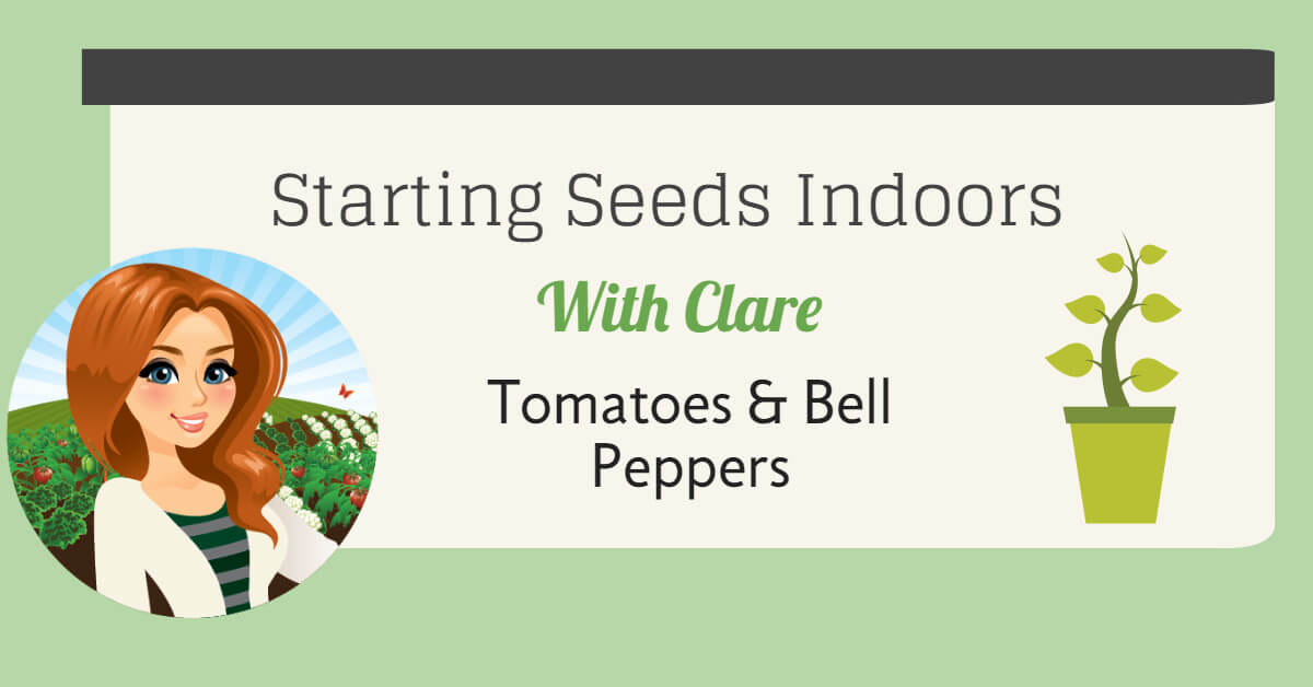 Starting Seedlings Indoors