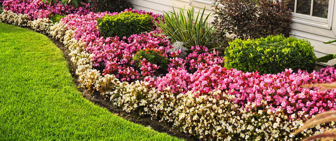 Lawn and Garden Term Definitions