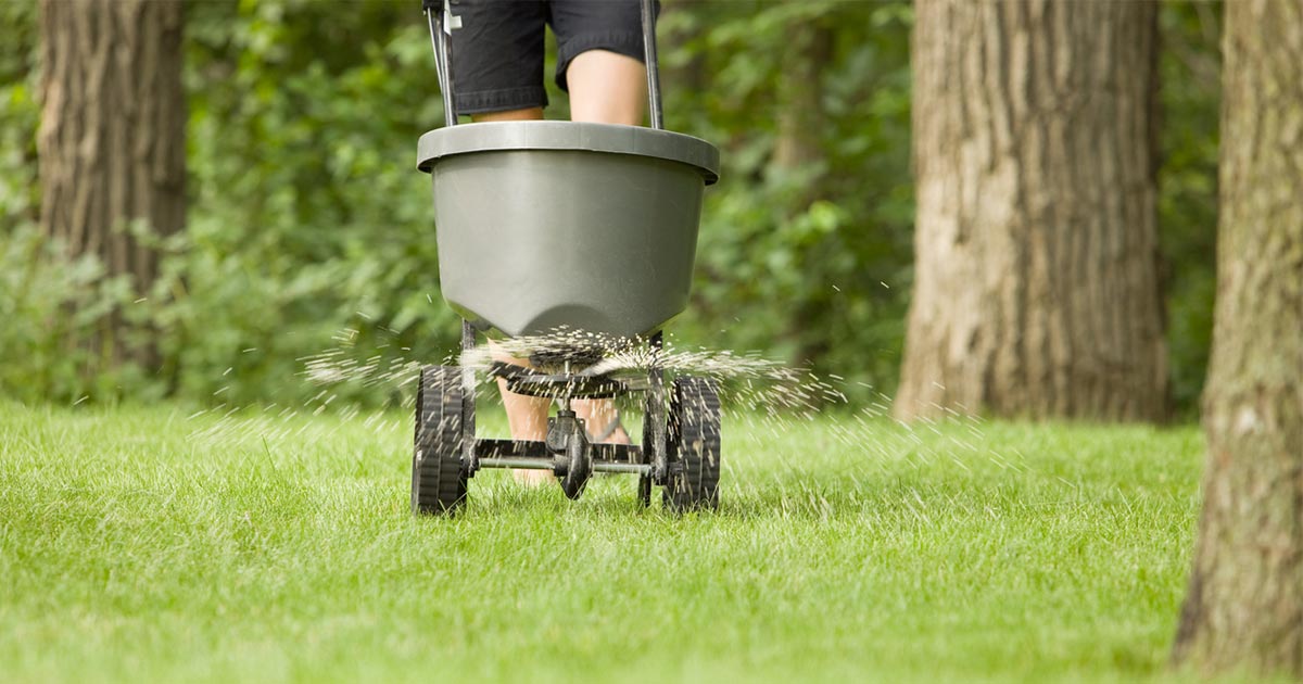 How to Avoid Garden and Lawn Fertilizer Burn