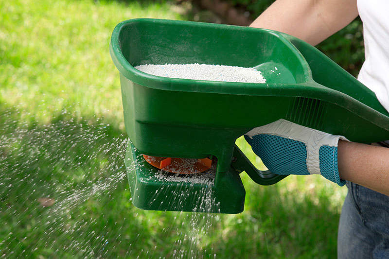 Best shop lawn fertilizer