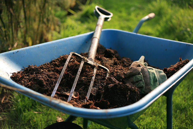 How to Improve Heavy Clay Soil