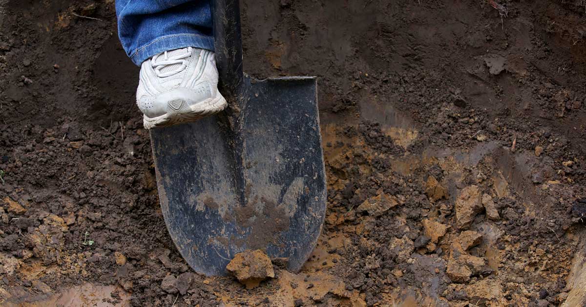 How to Fix Your Heavy Clay Soil