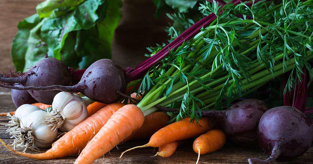 Organic farming benefits environment why neoadviser necessary